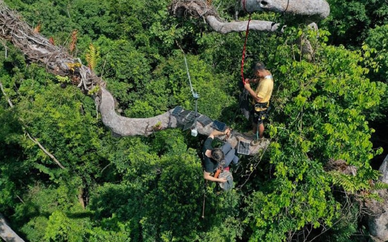 facility setting in Philippines