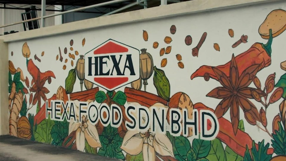 hexa story